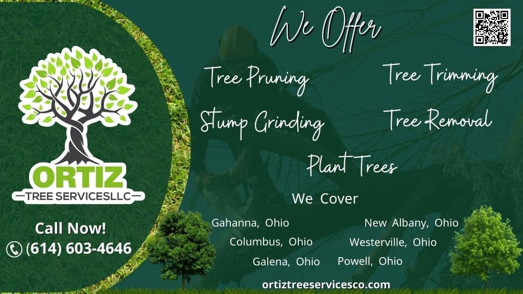 Ortiz Tree Services LLC