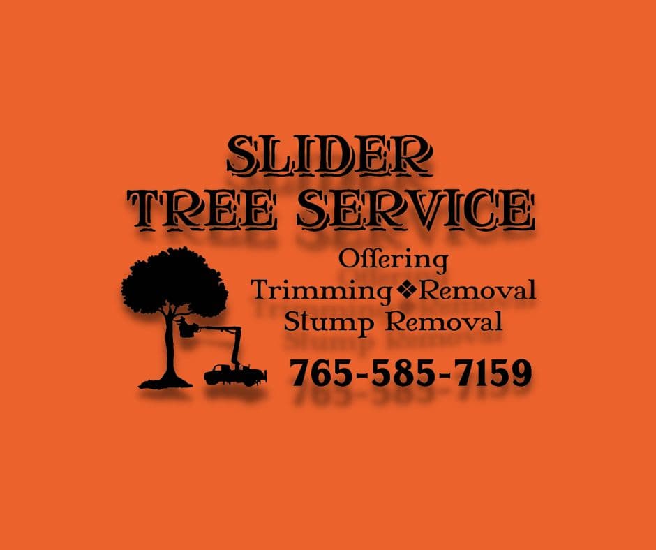 Slider Tree Service