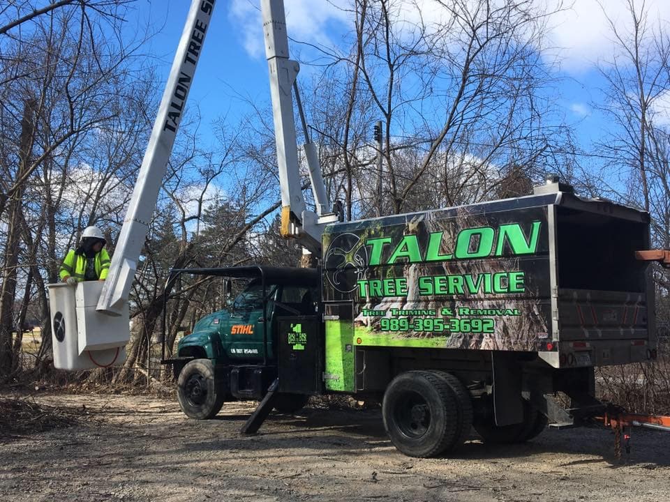 Talon Tree Service