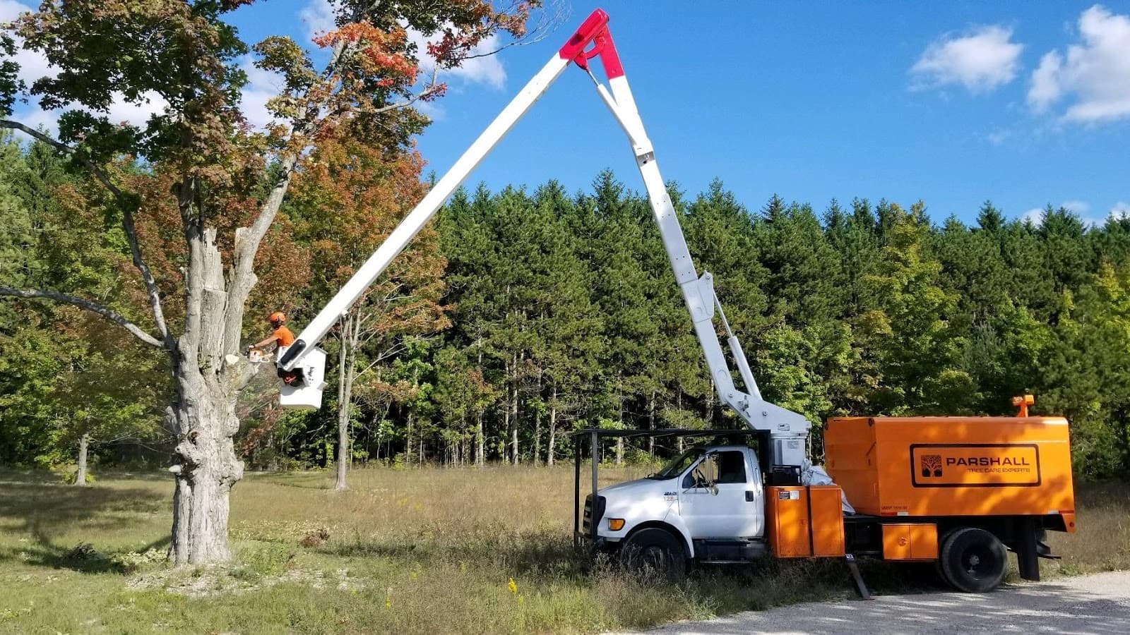 Parshall Tree Care Experts