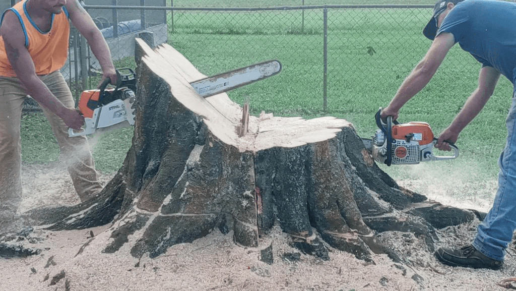 J & L Tree Service, LLC