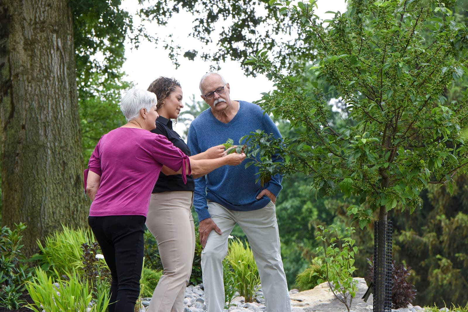 The Davey Tree Expert Company