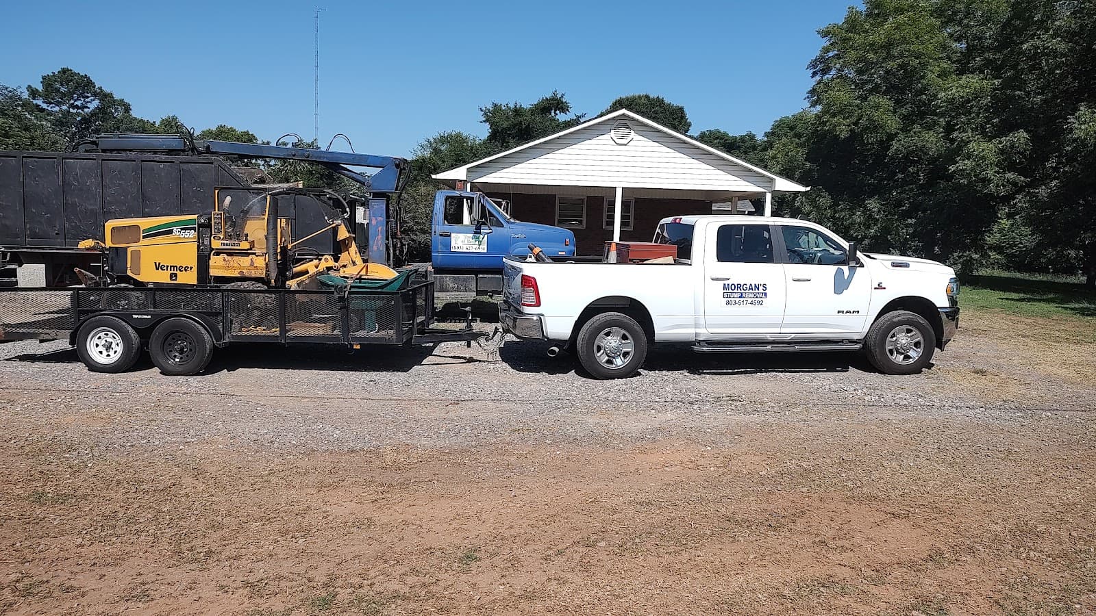 Morgan's Stump Removal