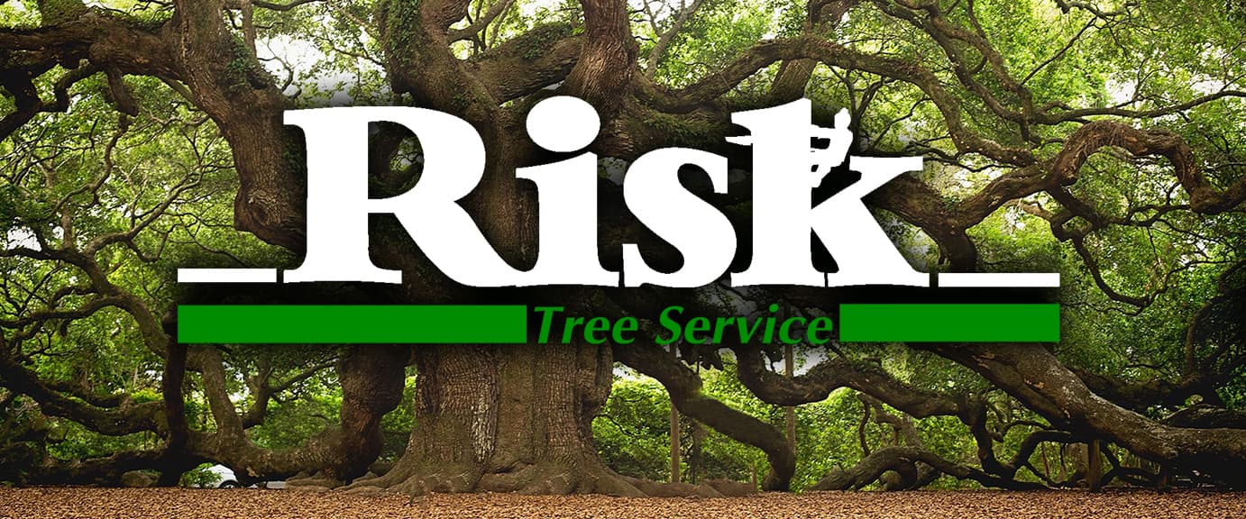 Risk Tree Service, LLC