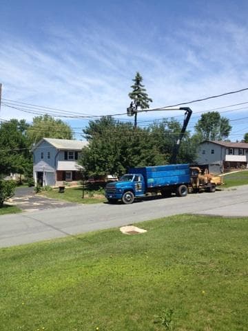 Cherry Hill Tree Expert Company