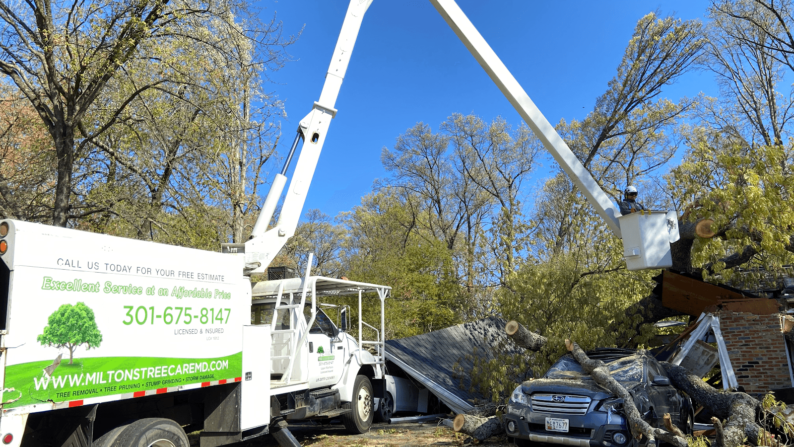 Milton's Tree Care Services LLC
