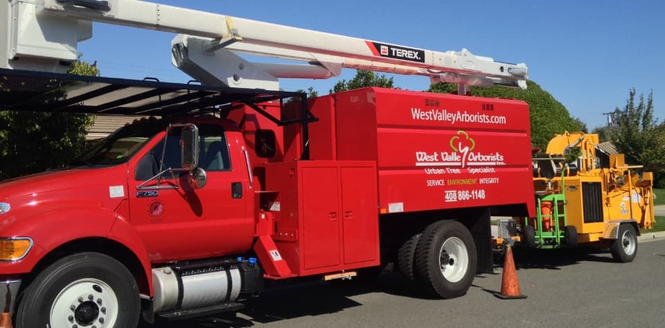 West Valley Arborists