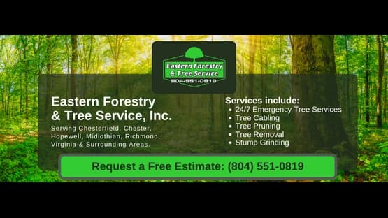 Eastern Forestry & Tree Service, Inc.