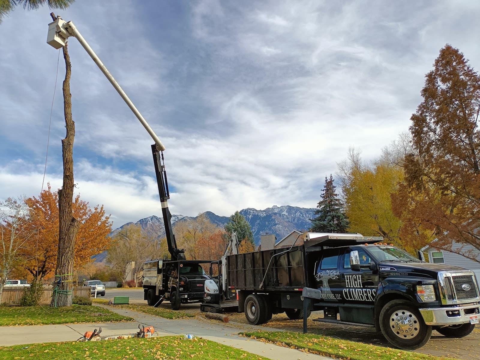 High Climbers Tree Care LLC