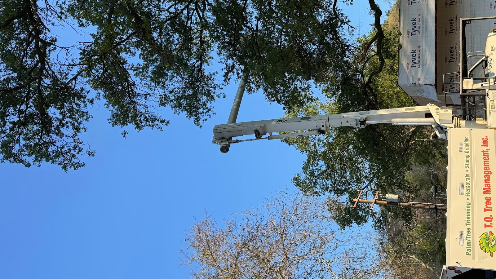 T.Q. Tree Management inc