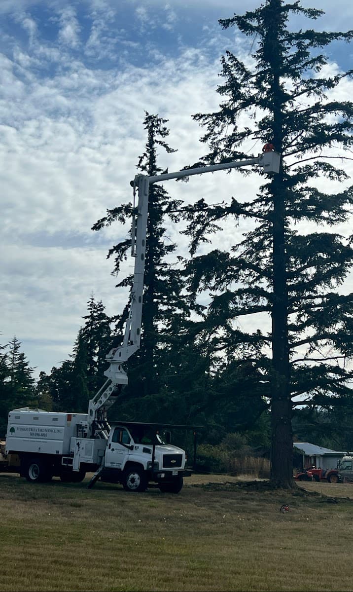 Redman's Tree & Yard Service inc