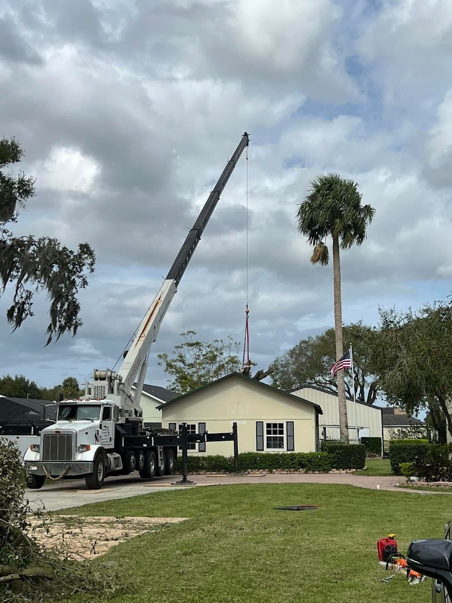 Central Florida Tree Care