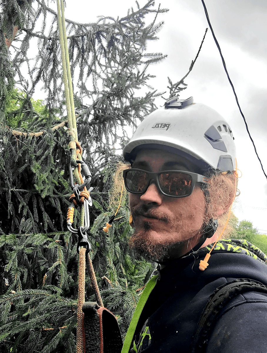 C3-Arbor Tree Service