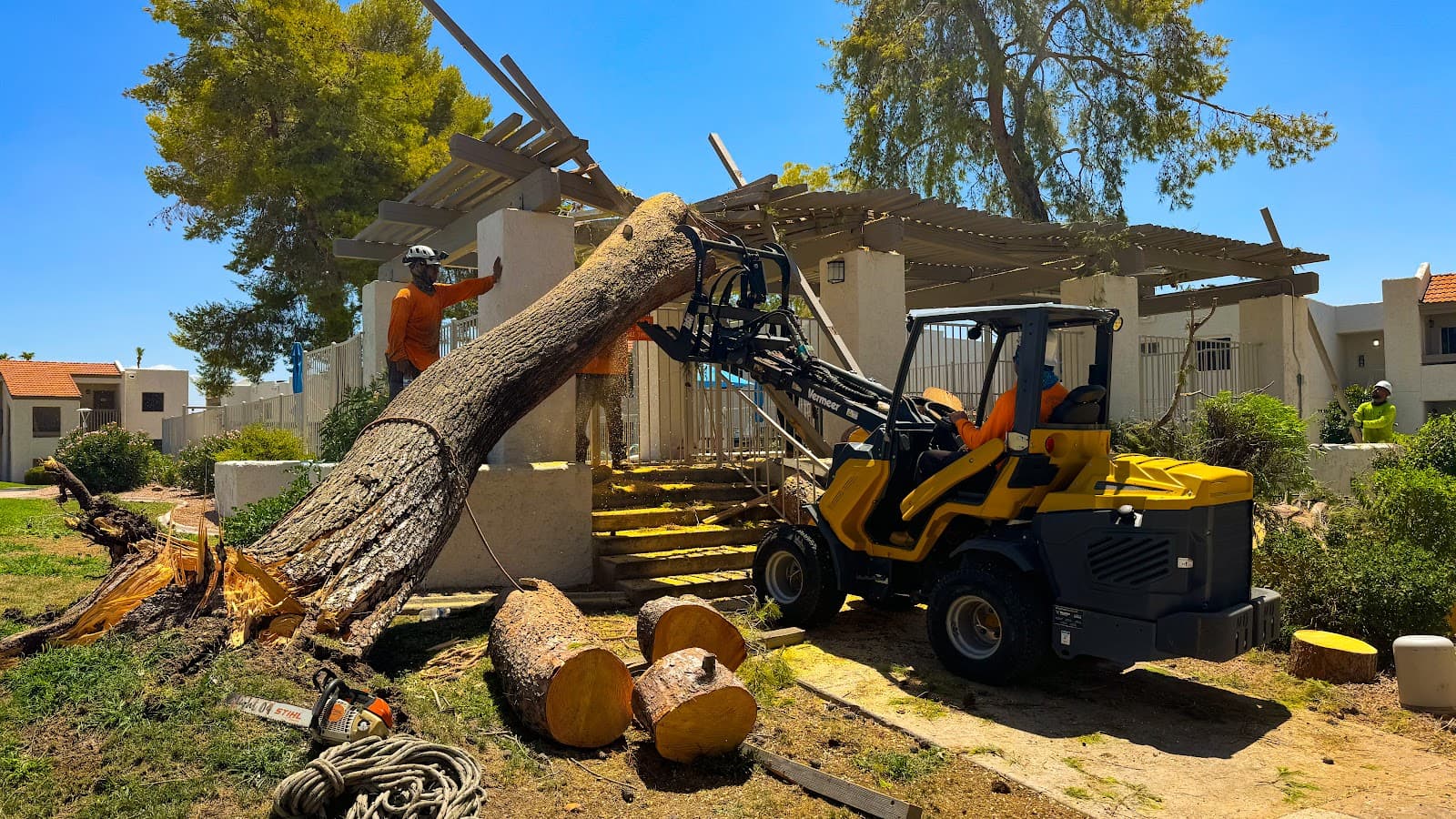 Harris & Sons Tree Specialists