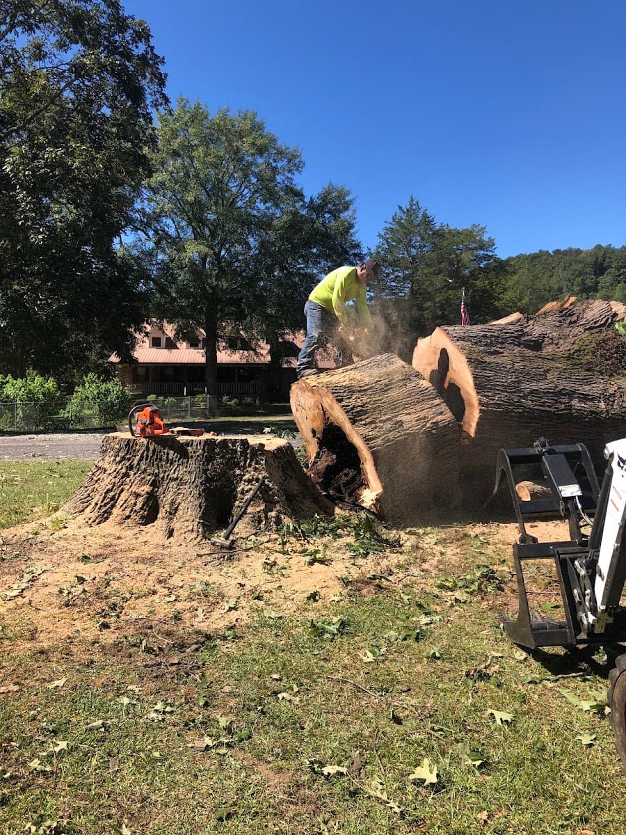 Vargas Tree Services