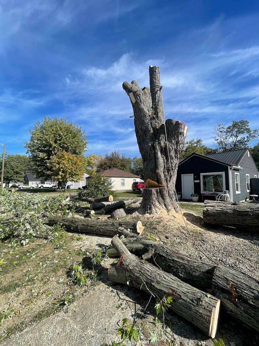 Chacon tree services