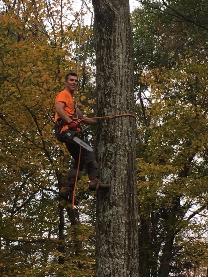 Tri State Tree Service & Landscaping