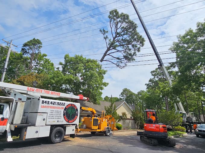 Saw-Rite Tree Service