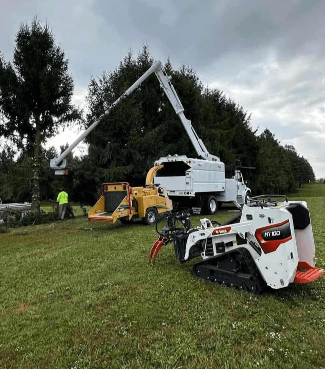 Christmas City Landscaping & Tree Service