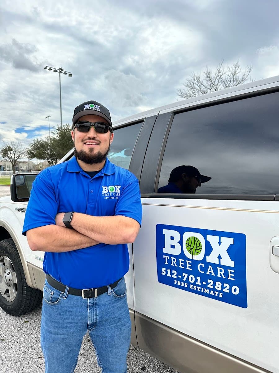 Box Tree Care