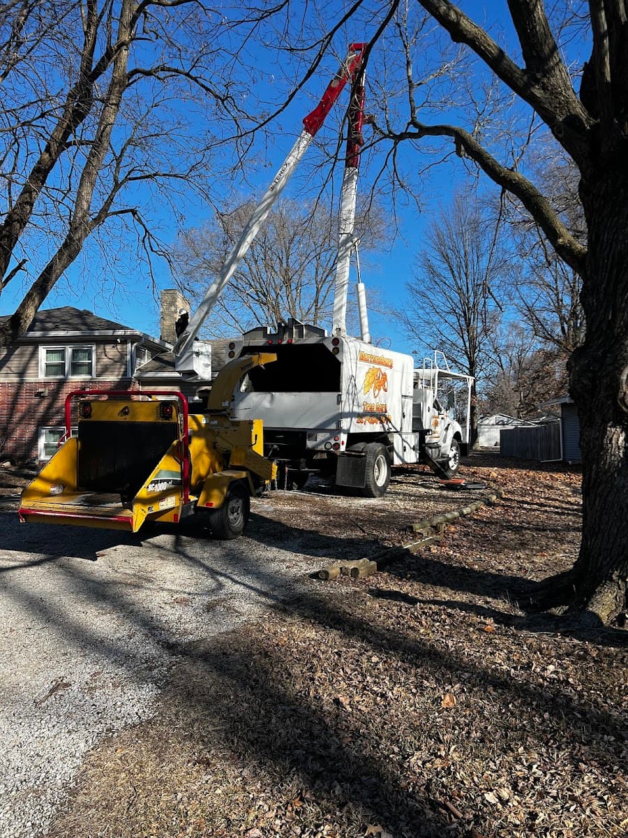 Warrensburg Tree Care