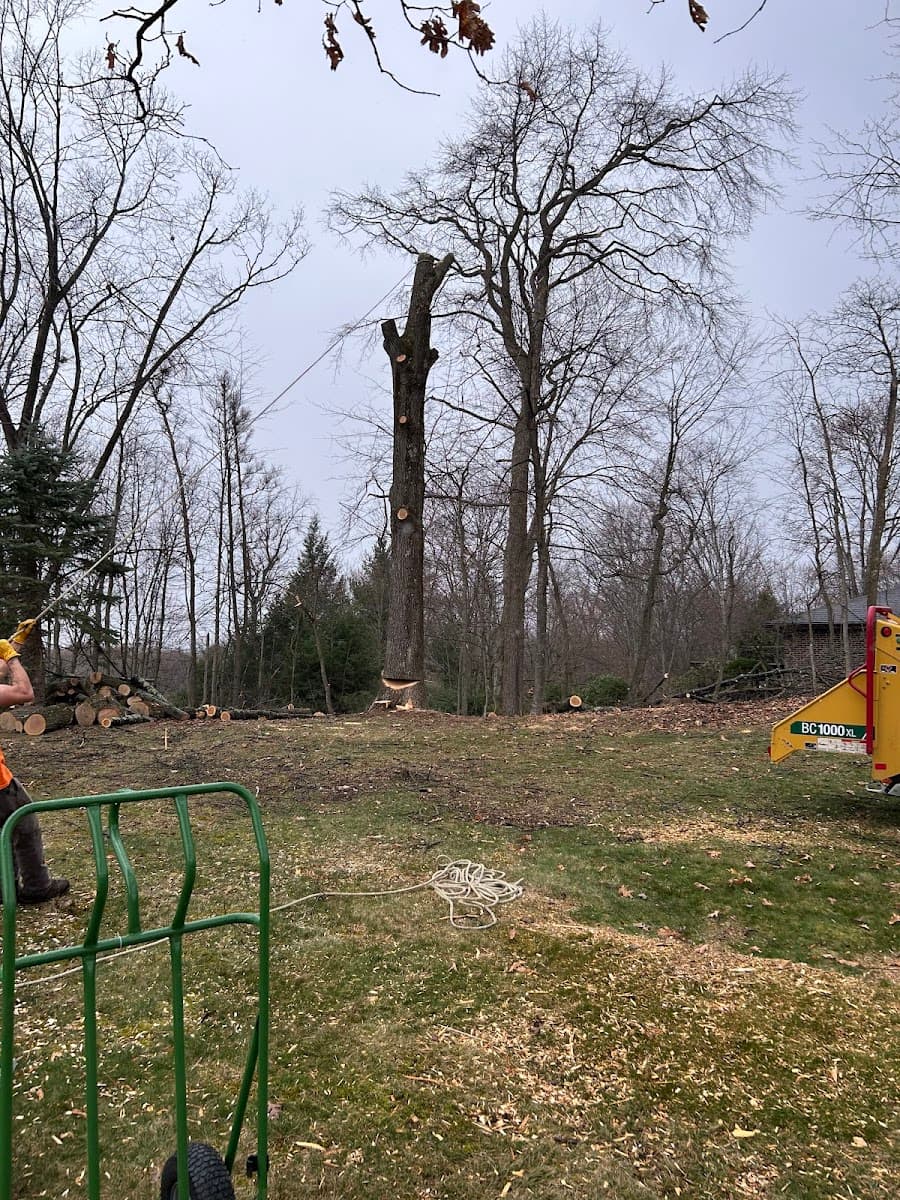 Precision Land & Tree LLC