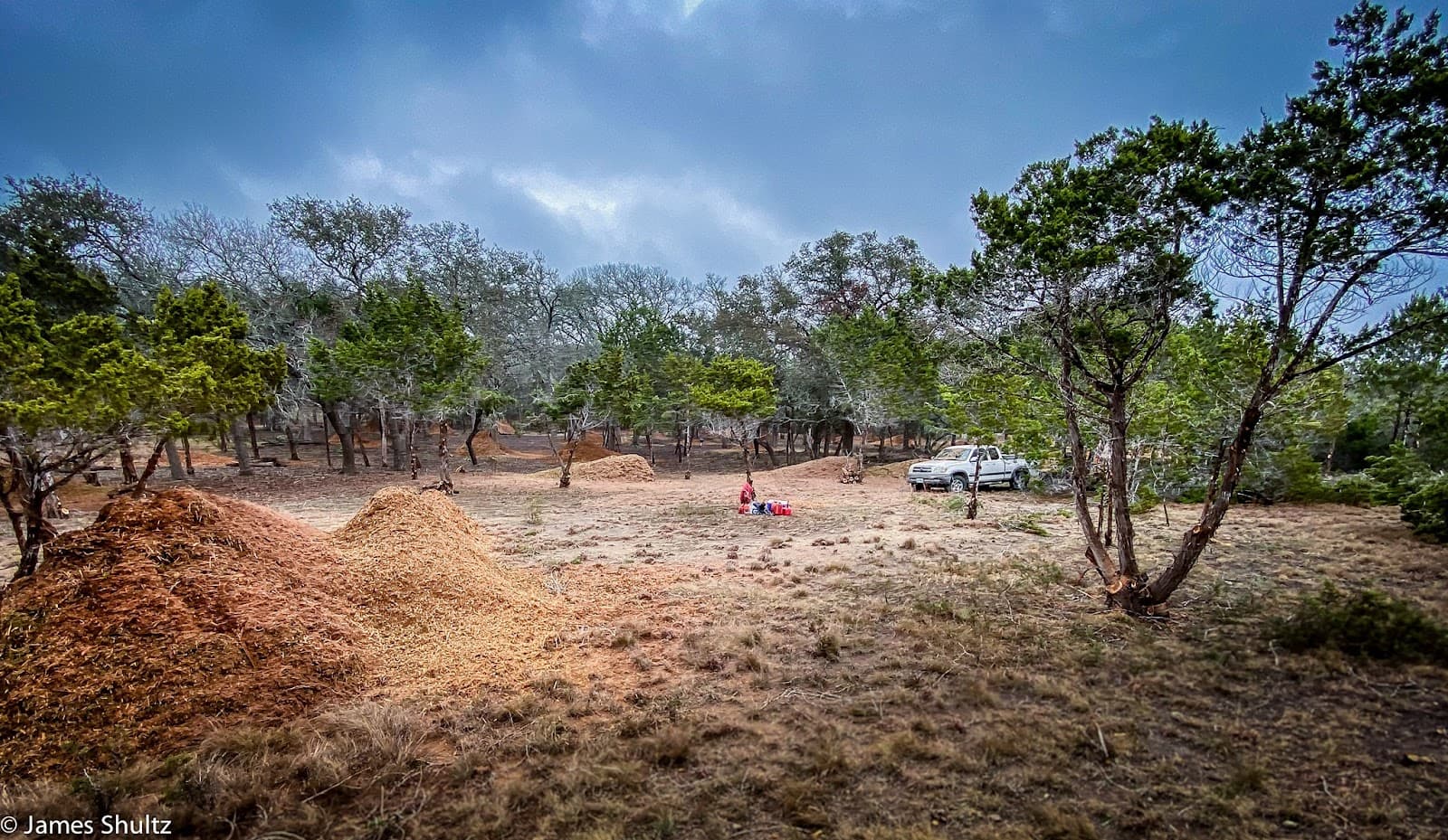 Texas Wildscapes' Billy Goat Clearing LLC