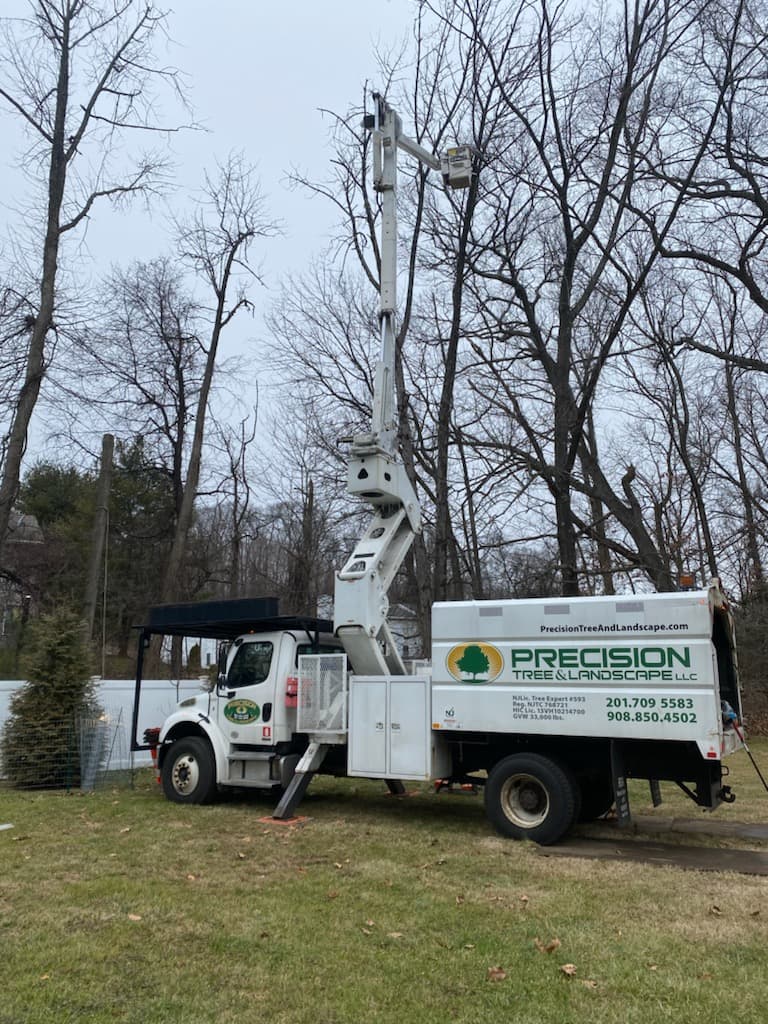 Precision Tree & Landscape LLC