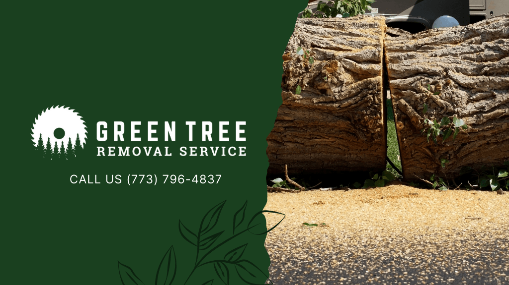 Green Tree Removal Service