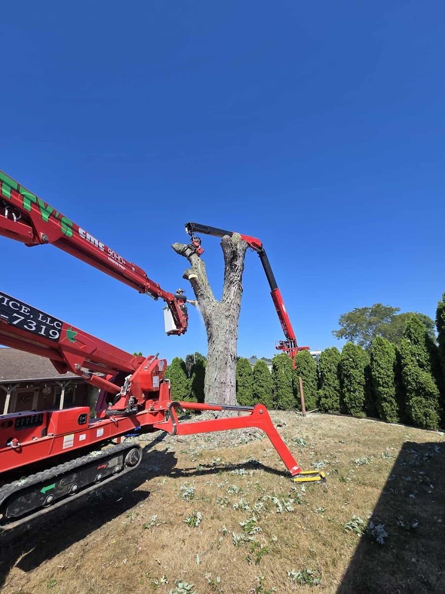 Smitty’s Tree Service LLC