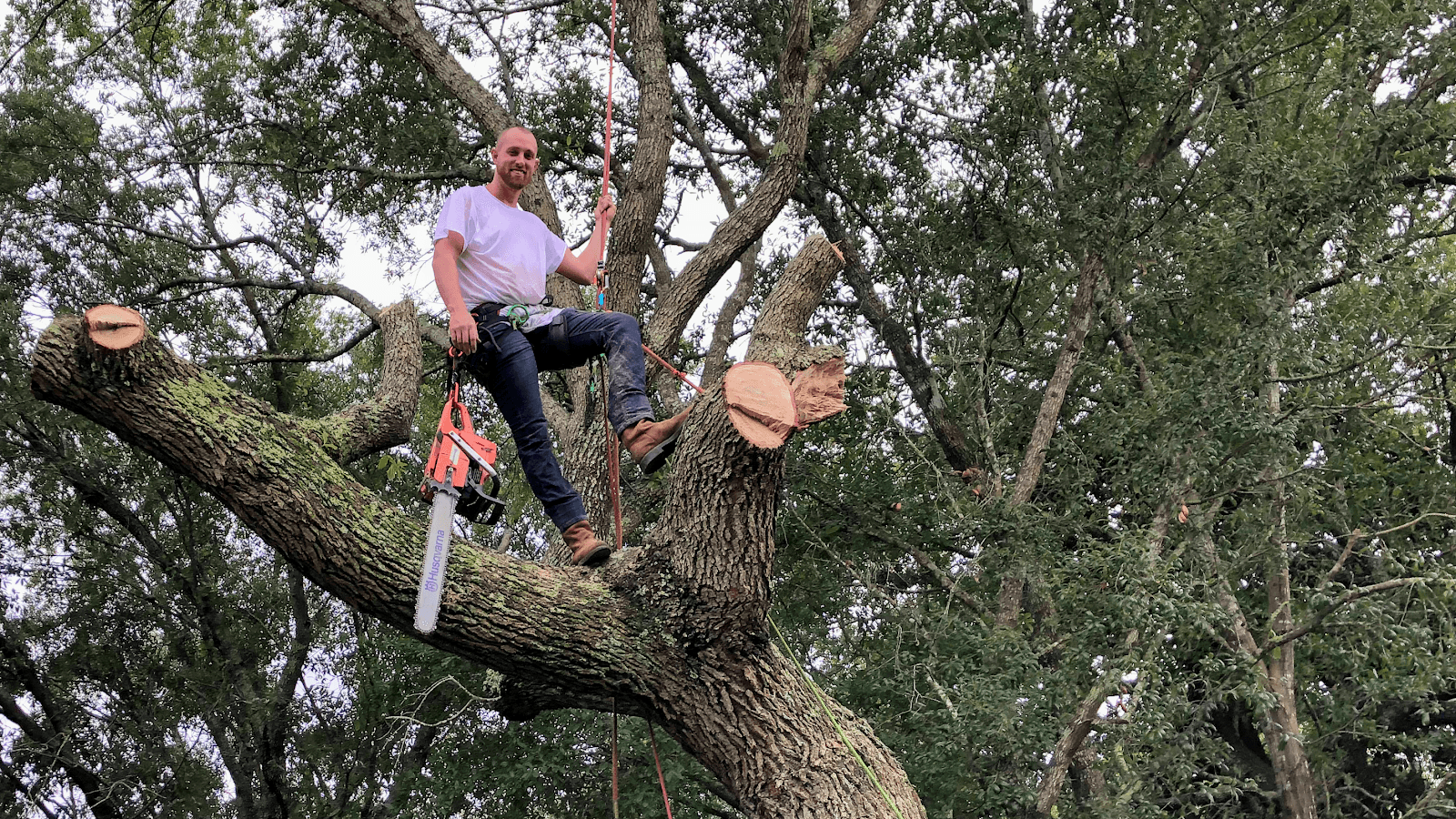 Stump Depot Tree Service