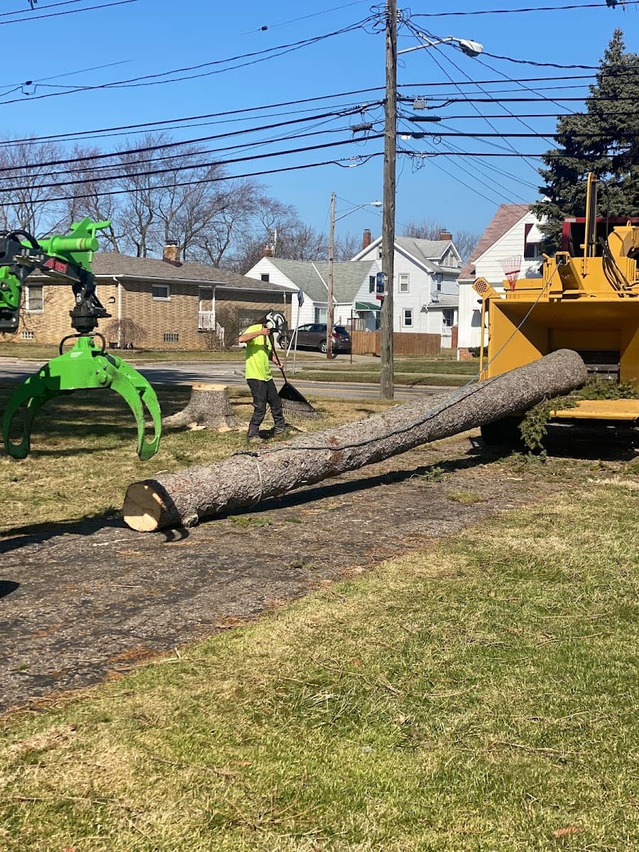 Stamp's Tree Service LLC