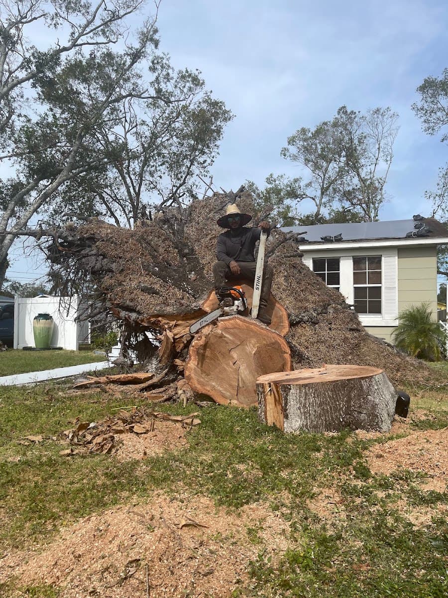 AlwaysBeKind Tree Care LLC