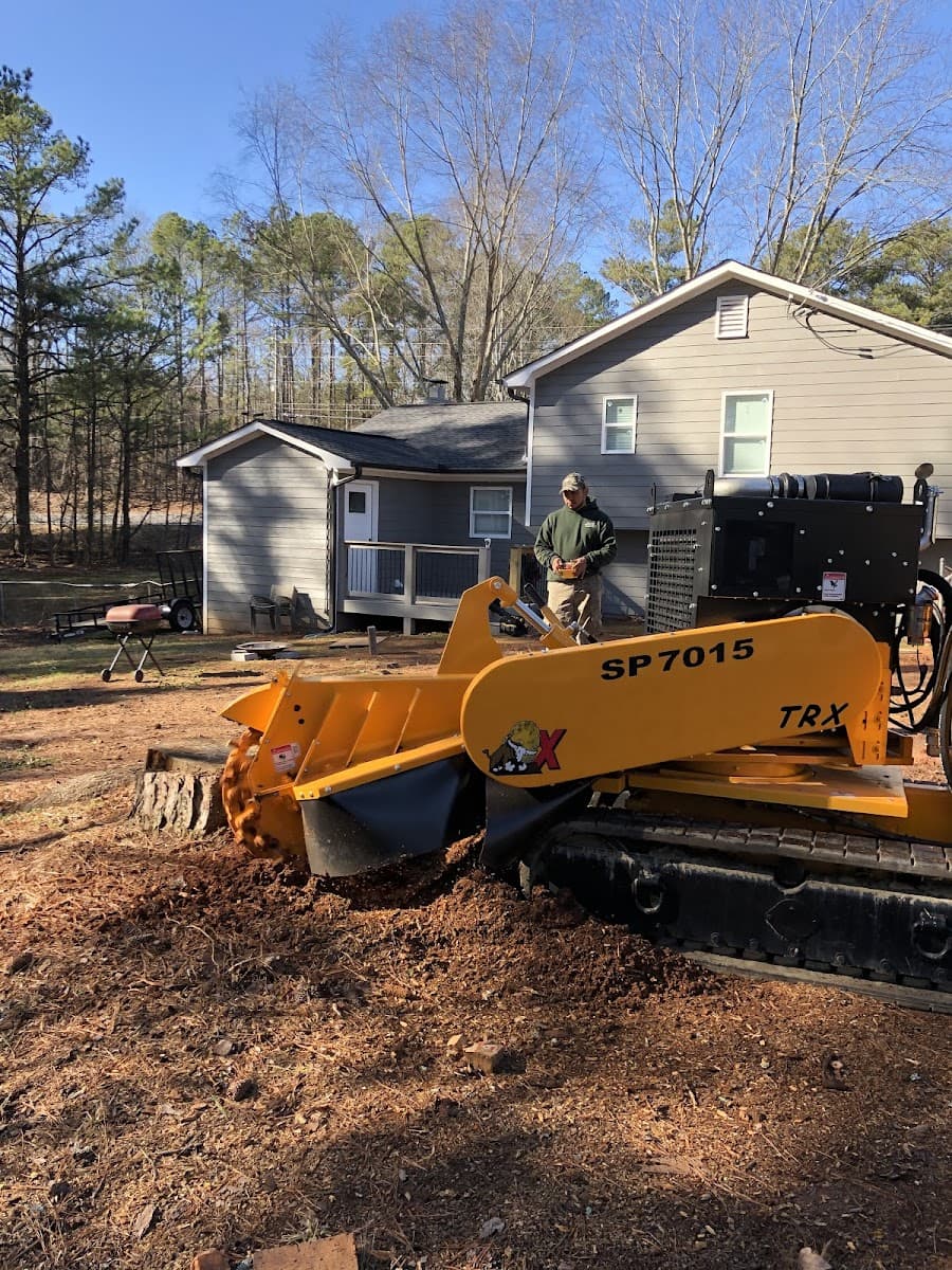 Antonio's Tree Experts LLC