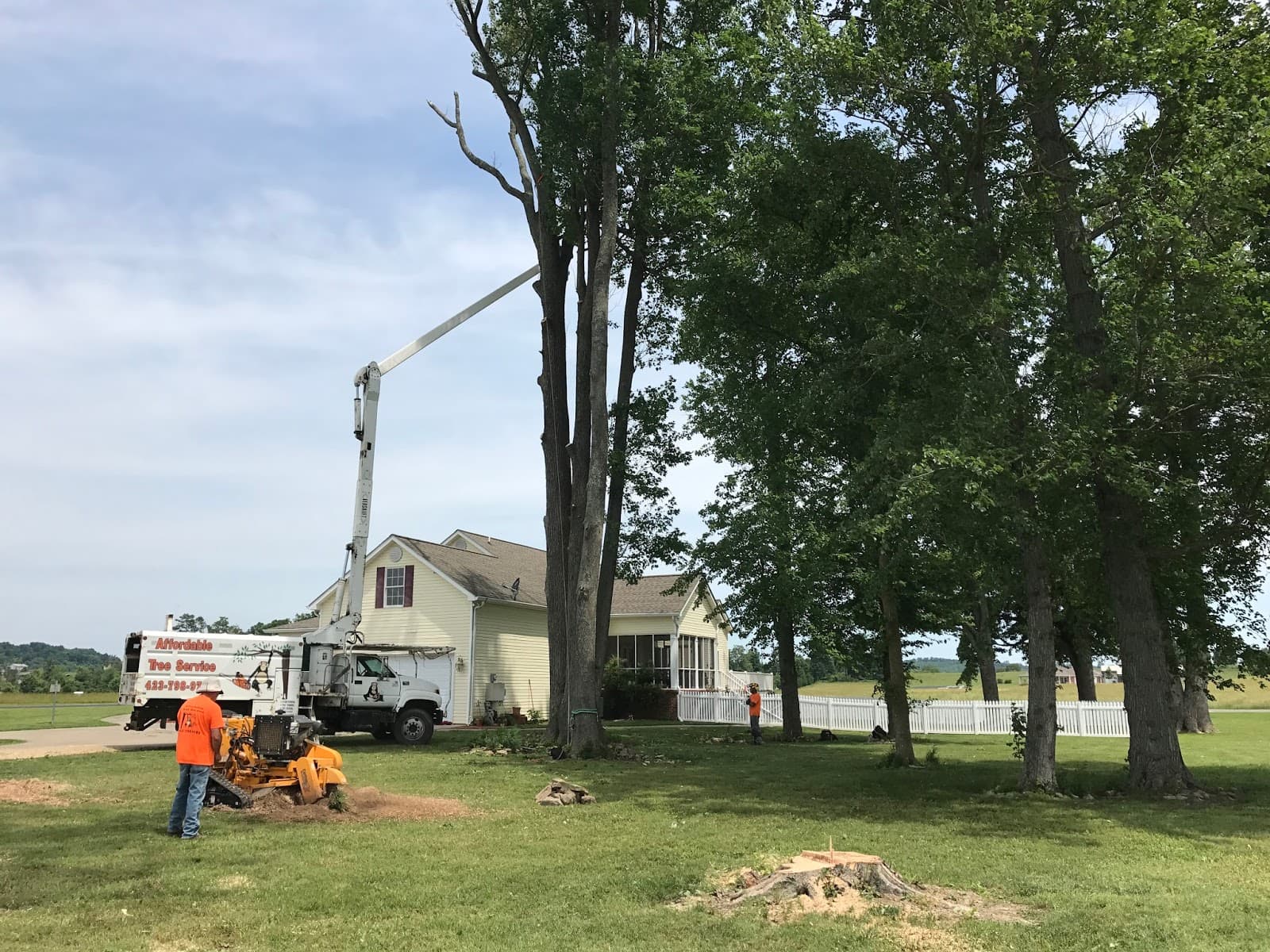 Affordable Tree Service