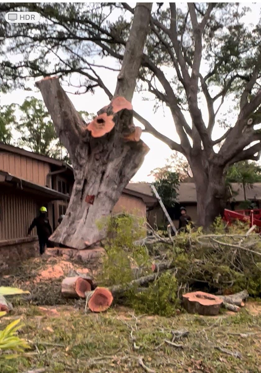 Campbells Noble Tree Service LLC