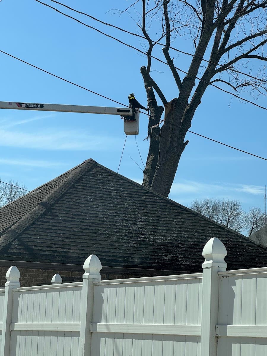 Eduardos Tree Service LLC