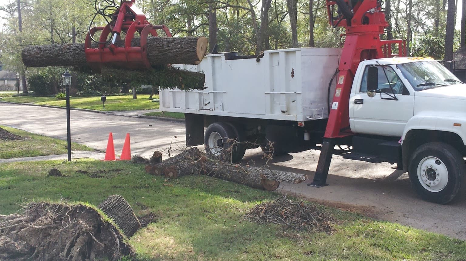 Green Industry Tree Service