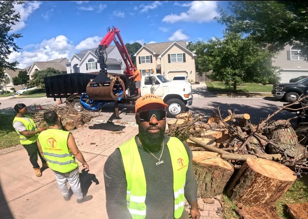 AJ's Tree Removal