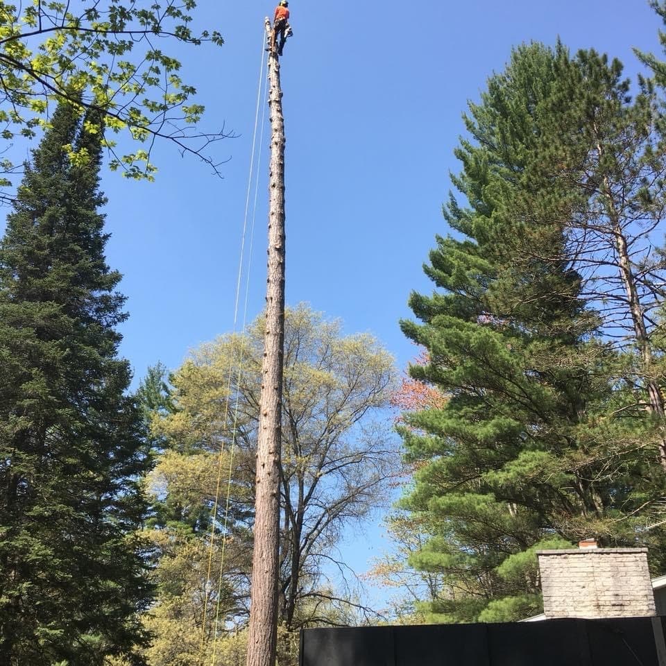 The Chipper Guys Tree Service LLC