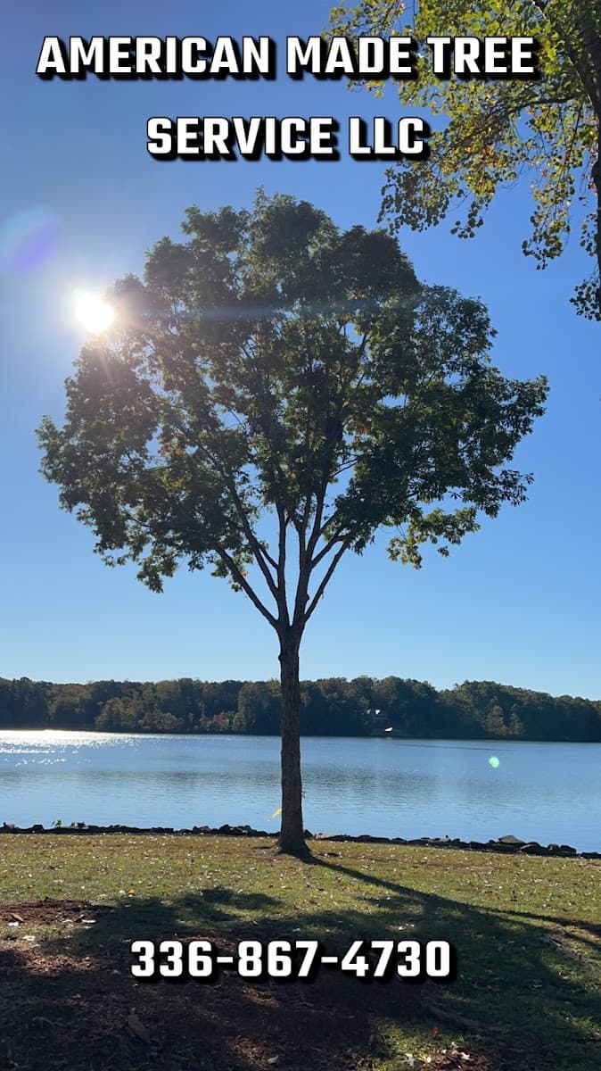 AMERICAN MADE TREE SERVICE LLC