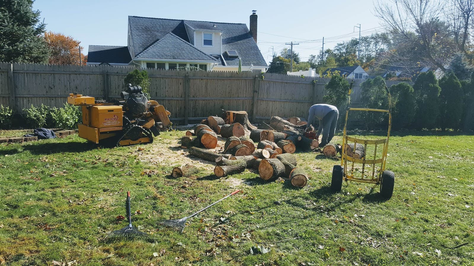 Arbor Care Tree Service