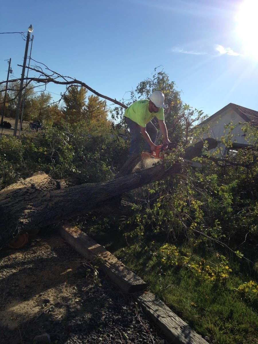 AER Landscaping & Tree Service