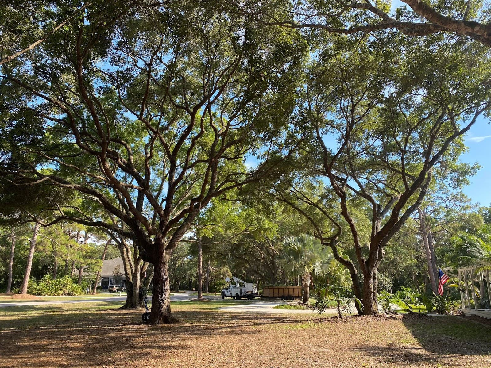Pfeifer Tree Service