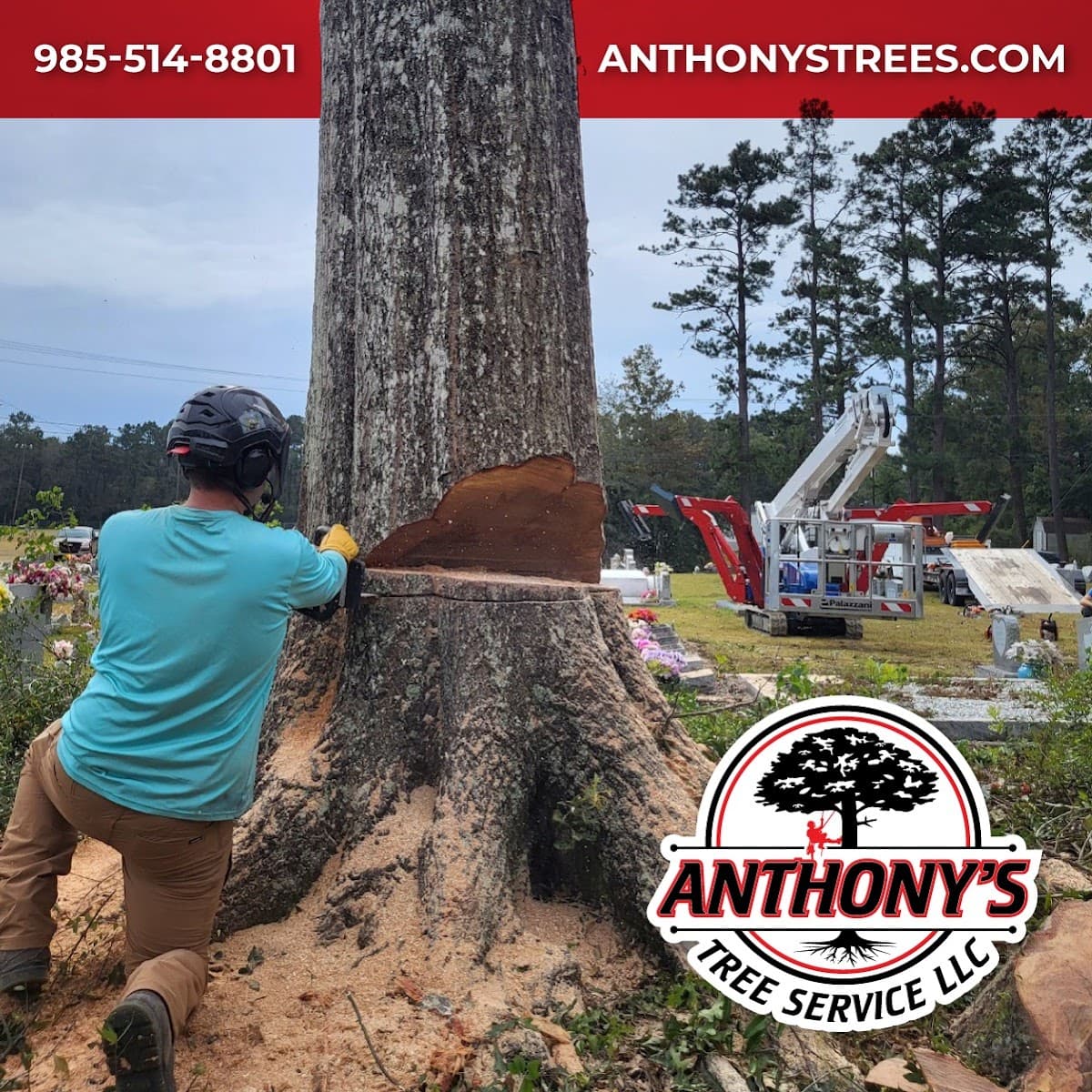Anthony's Tree Service LLC