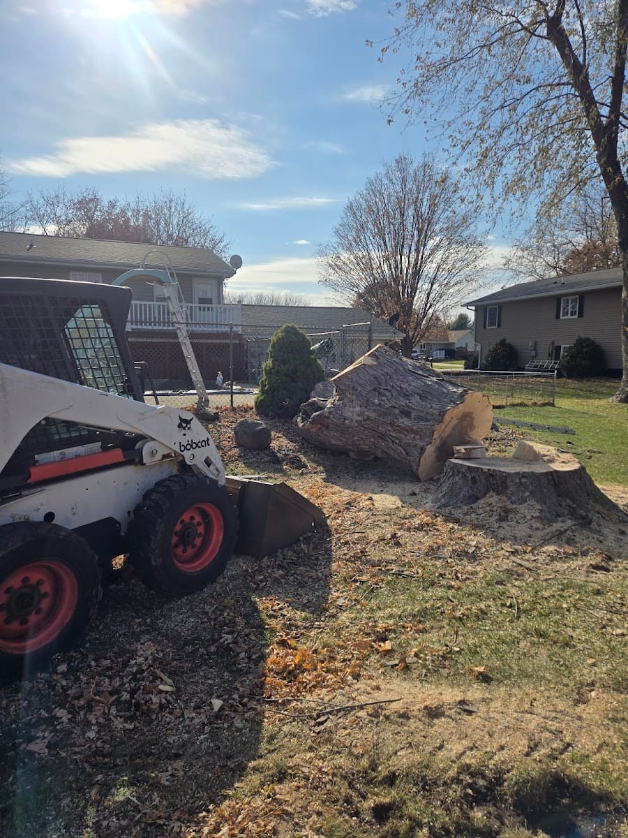 Bandits Tree Service