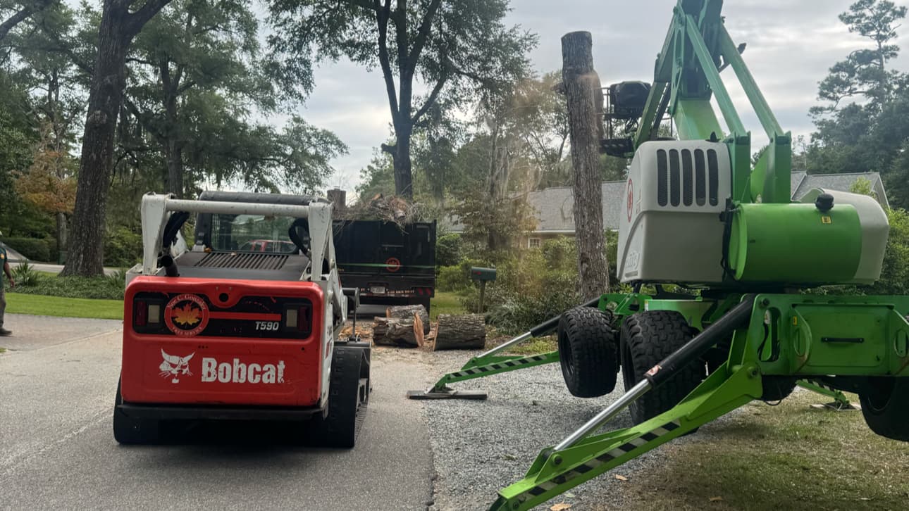 Noe C. Gonzalez Tree Service LLC