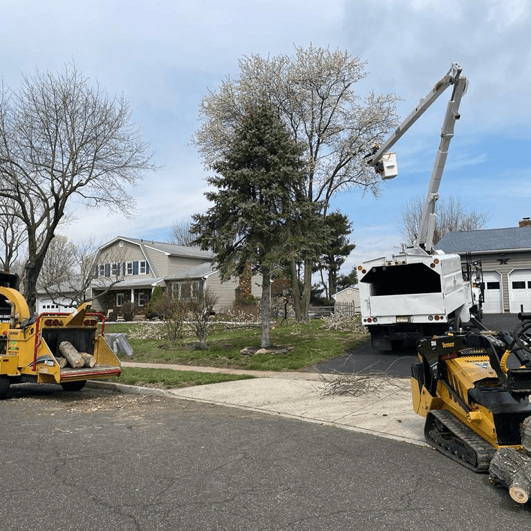 United 1 Tree Services & Landscaping