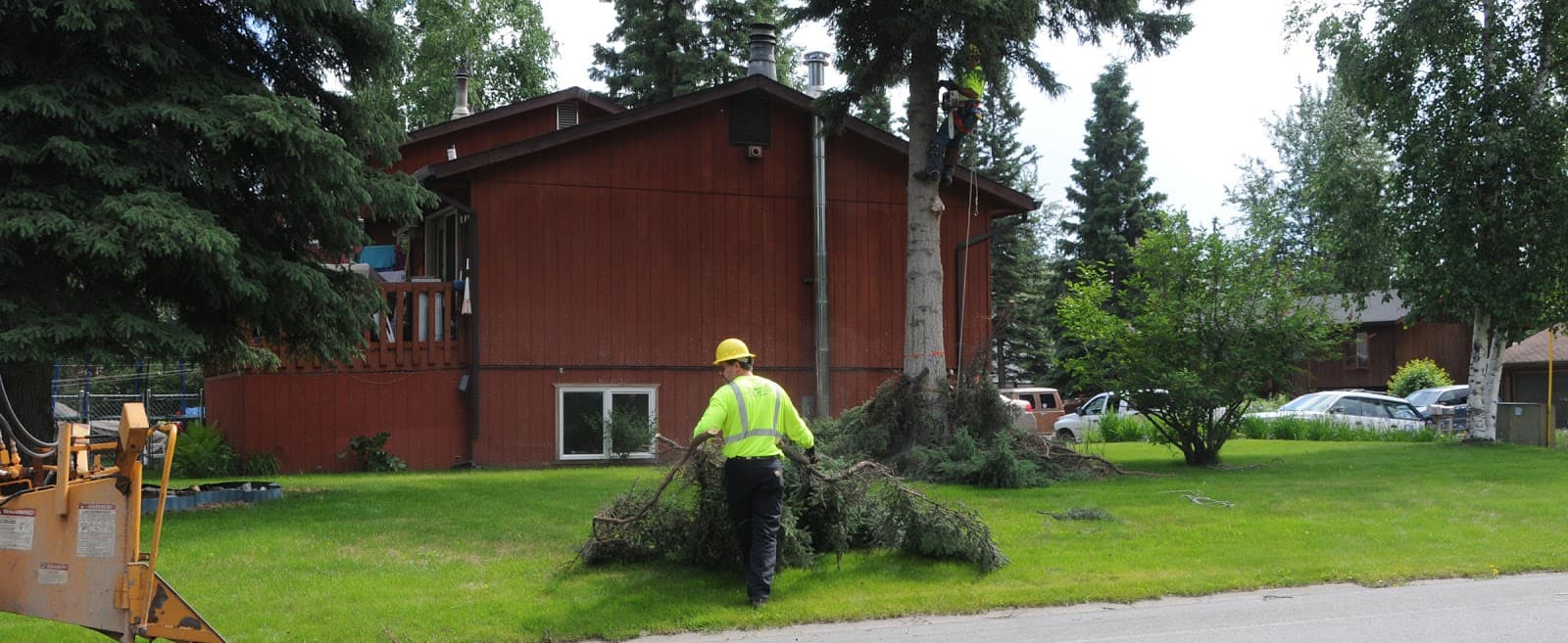 Fairbanks Stump Grinders