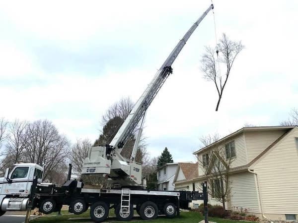 Willow Fast Tree Service